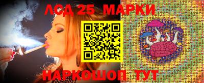 хмурый Сланцы