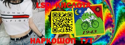 хмурый Сланцы