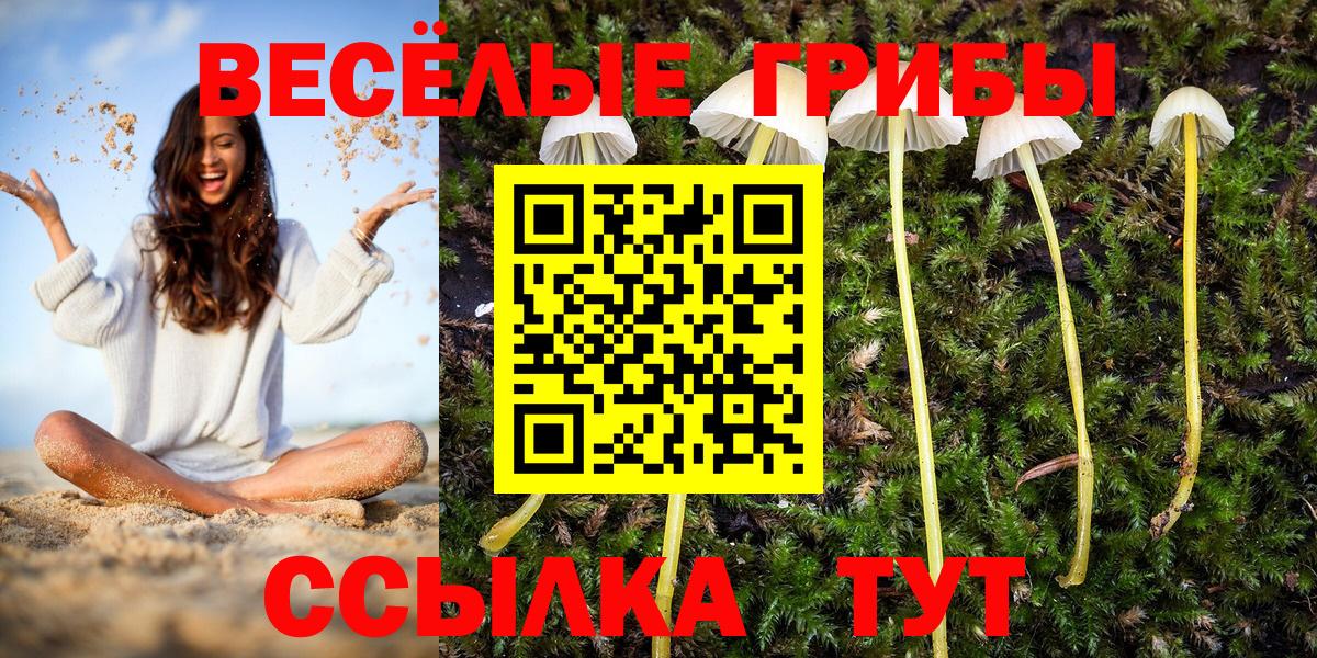 Псилоцибиновые грибы прущие грибы Курган